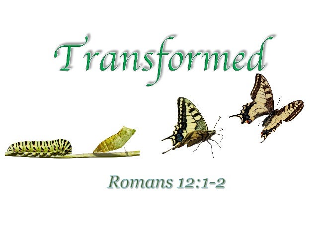 Transformed